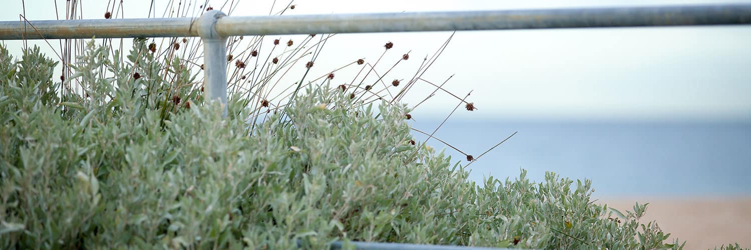 Lady Forster Kindergarten - Assessment and Rating